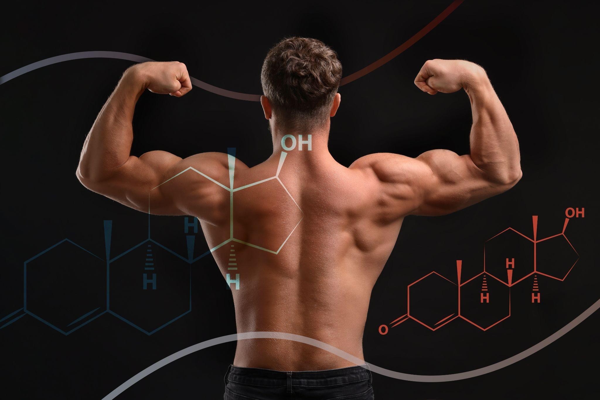 ngo-illustration-Artboard 5 How to Increase Testosterone Naturally Revitalyzemd