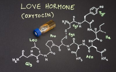 The Science Behind Attraction, Desire, and Oxytocin