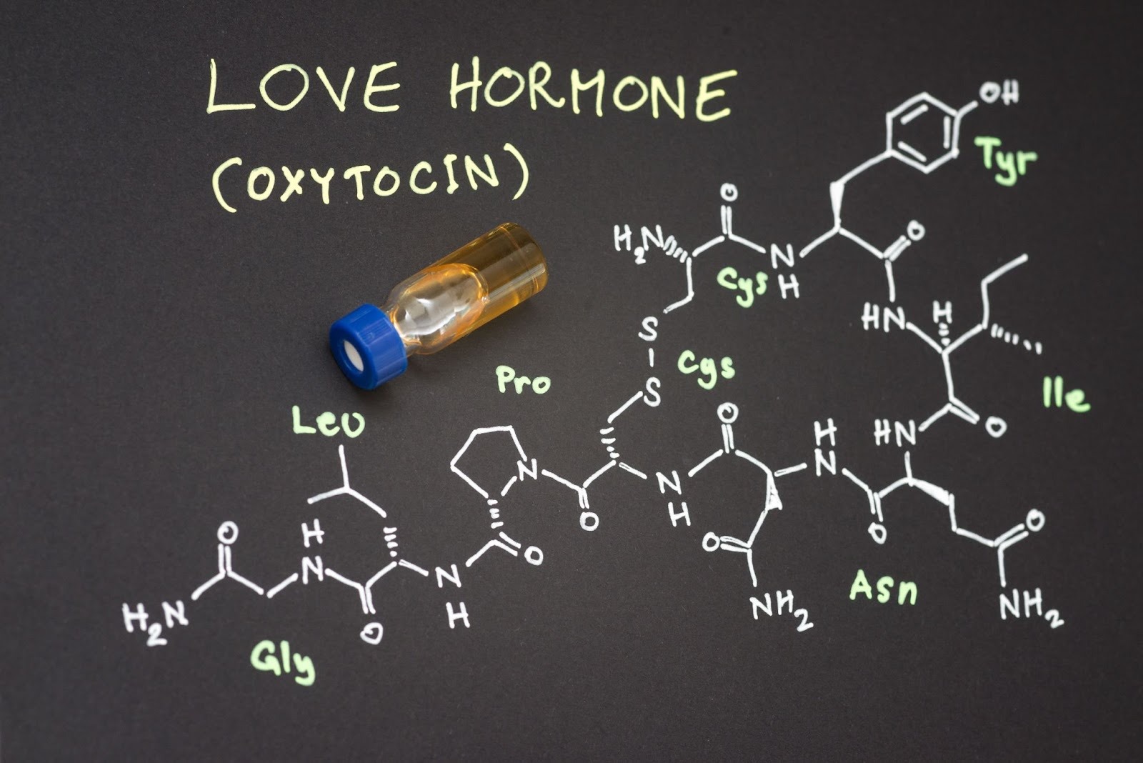 The Science Behind Attraction, Desire, and Oxytocin